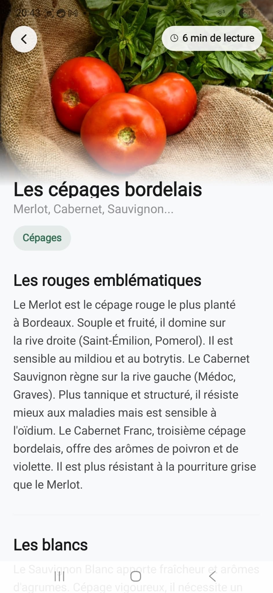 Guide des maladies VinEye
