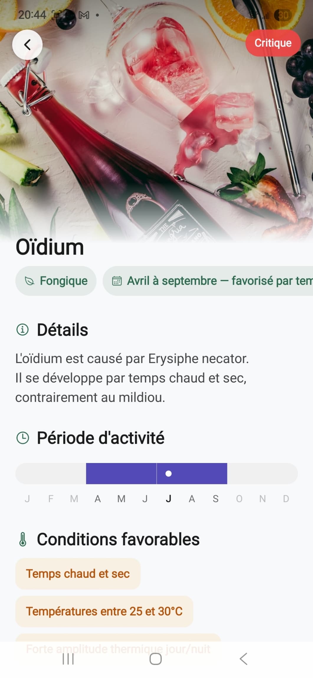 Guide des maladies VinEye